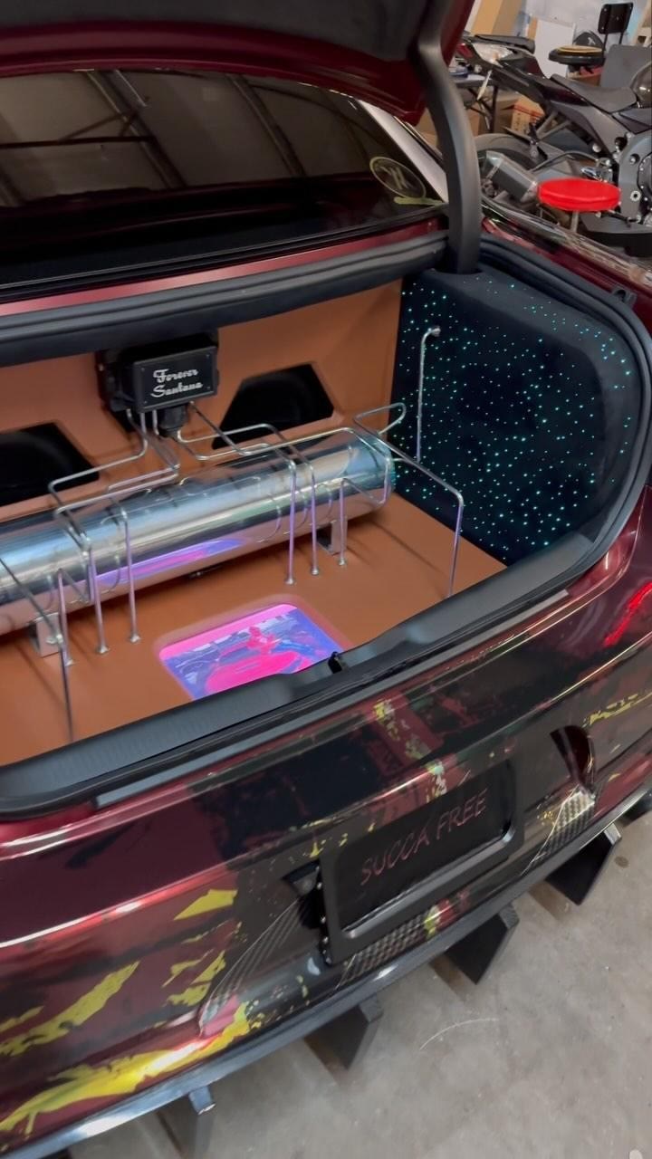 Show-trunk build with polished hardlines and a starlight panel.